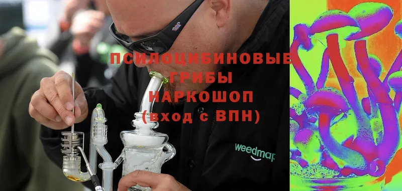 shop состав  Каменка  Галлюциногенные грибы Psilocybine cubensis 